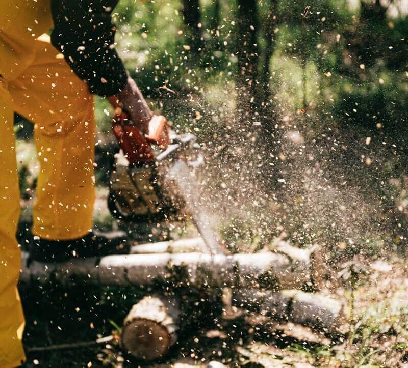 Cut Wood Cleanly