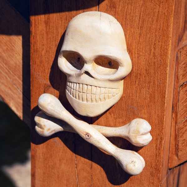 Skull Bone Carving